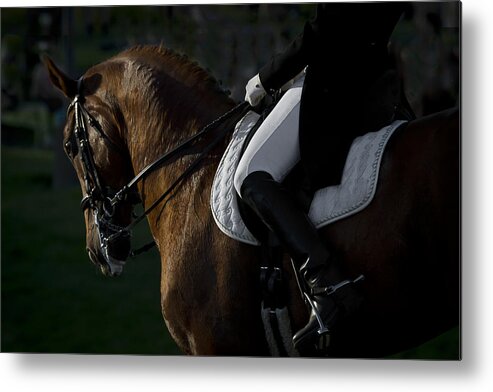 Dressage Metal Print featuring the photograph Dressage by Wes and Dotty Weber