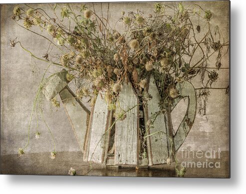 Dried Flowers Metal Print featuring the photograph Dried Flowers in Watering Can by Tamara Becker