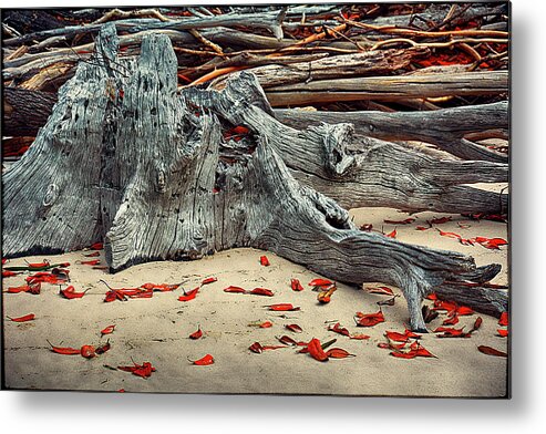 Driftwood Metal Print featuring the photograph Driftwood IV by Andrei SKY