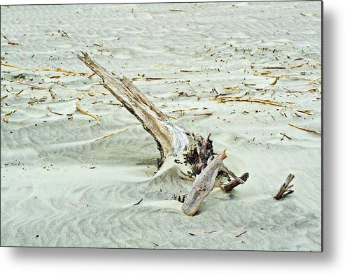 Driftwood Metal Print featuring the photograph Driftwood on Beach by Bill Barber