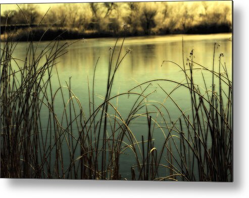 Hoar Frost Metal Print featuring the photograph Early Morning Duck Hunting by Marilyn Hunt