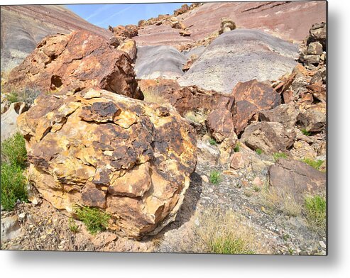 Utah Metal Print featuring the photograph Dune Color by Ray Mathis