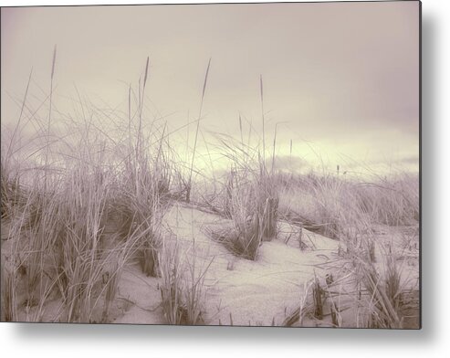 2016 Metal Print featuring the photograph Dune Grass by Kate Hannon