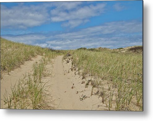 Cape Cod Metal Print featuring the photograph Dune Shack Path by Marisa Geraghty Photography