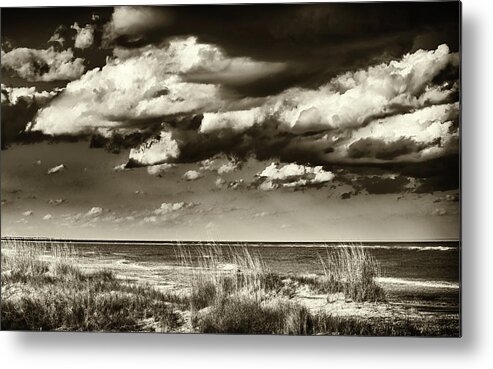 Landscape Metal Print featuring the photograph Dunes by Joe Shrader