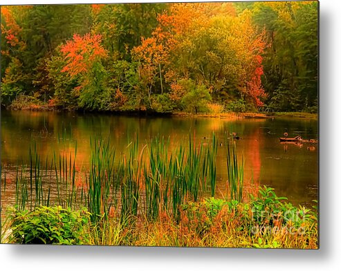 Trees Metal Print featuring the photograph Early Fall by Geraldine DeBoer