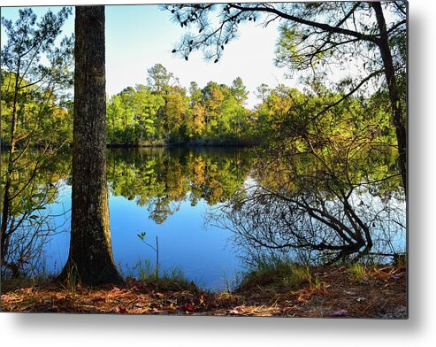 Fall Metal Print featuring the photograph Early Fall Reflections by Nicole Lloyd