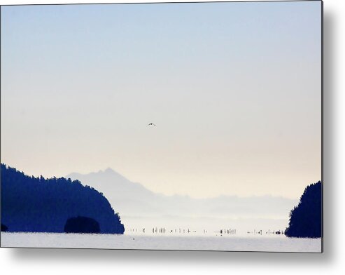 Whidbey Island Metal Print featuring the photograph Early Morning Ala Spit Whidbey Island by Carol Leigh