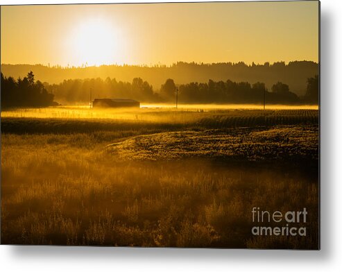 Corn Metal Print featuring the photograph Early Morning in the Valley by Mary Jane Armstrong