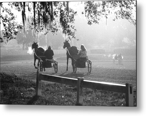 Horse Metal Print featuring the photograph Early Morning Workout by M Kathleen Warren