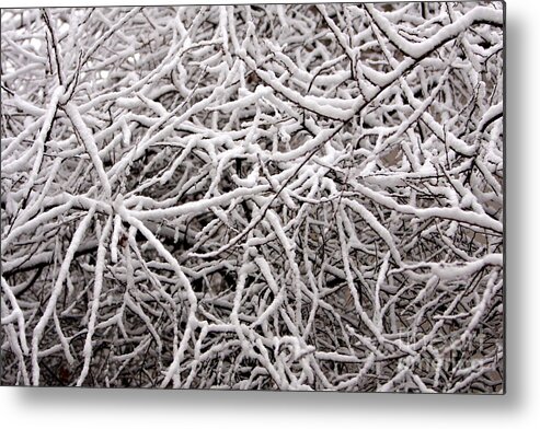 Abstract Metal Print featuring the photograph Early Spring Snow by James BO Insogna