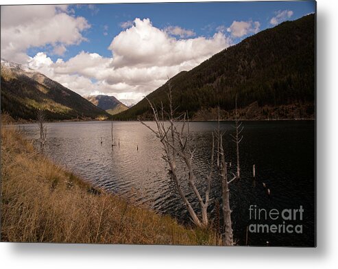 Quake Lake Metal Print featuring the photograph Earthquake Lake by Cindy Murphy - NightVisions