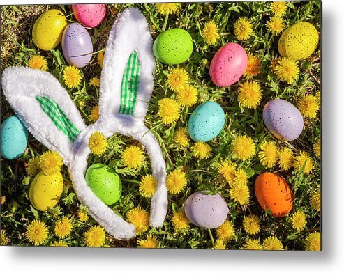 Easter Bunny Metal Print featuring the photograph Easter Morning by Teri Virbickis