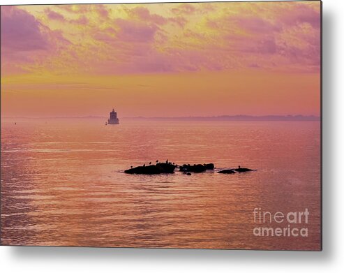 Atlantic Metal Print featuring the photograph Ebb Tide by Joe Geraci