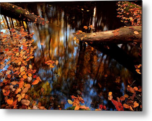 River Scene Metal Print featuring the photograph Edge Of Wishes by Mike Eingle