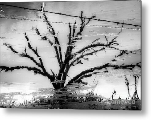 Eerie Reflections Metal Print featuring the photograph Eerie Reflections by Imagery by Charly