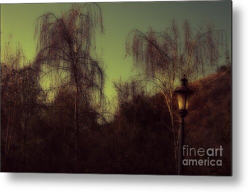 Clay Metal Print featuring the photograph Eery Park by Clayton Bruster