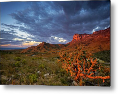 El Cap Metal Print featuring the photograph El Cap by Aaron Bedell