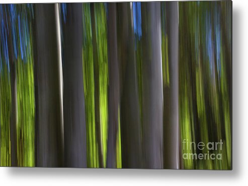 Trees Metal Print featuring the photograph Electric Light by Brandon Bonafede