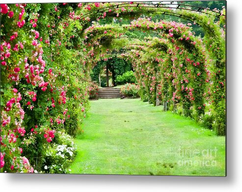 Elizabeth Park Metal Print featuring the photograph Elizabeth Park Arch by Edward Sobuta