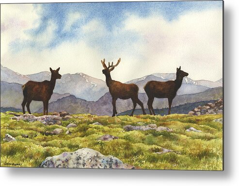 Elk Painting Metal Print featuring the painting Elk in the Evening by Anne Gifford