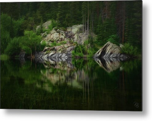 Colorado Metal Print featuring the photograph Emerald Forest by Debra Boucher