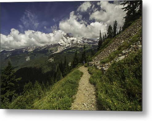 Mt Rainier Metal Print featuring the photograph Emerging above Timberline by Doug Scrima
