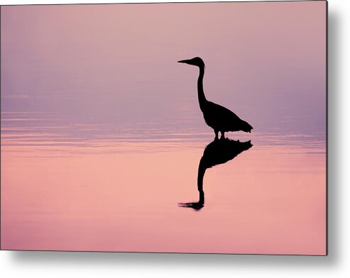 Heron Metal Print featuring the photograph Empty Spaces - Grey heron silhouette by Roeselien Raimond