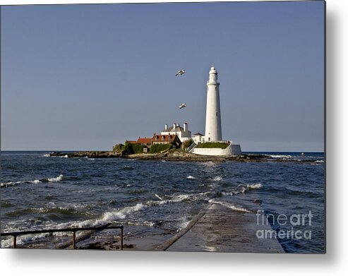 Lighthouse Metal Print featuring the photograph Evening at St. Mary's Lighthouse by Elena Perelman