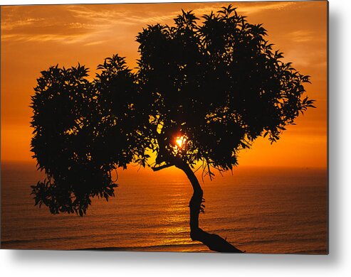 Sunset Metal Print featuring the photograph Evening Glow by Jose Vazquez