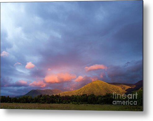 Cades Metal Print featuring the photograph Evening in Cades Cove - D009913 by Daniel Dempster