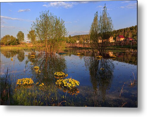 Landscape Metal Print featuring the photograph Evening Light on the Lake. Altay by Victor Kovchin