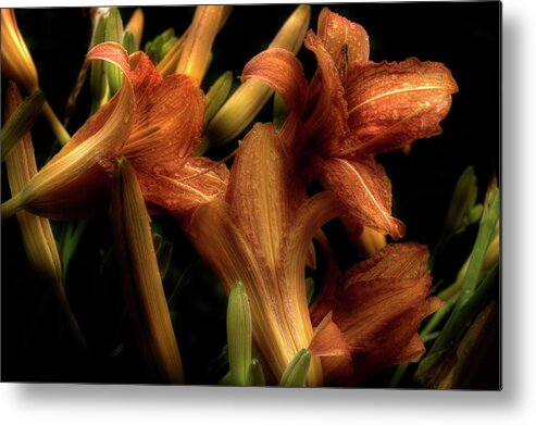 Lilies Metal Print featuring the photograph Evening Lilies by Mike Eingle