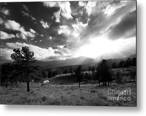 Rocky Mountain National Park Metal Print featuring the photograph Evening Shadows by Bon and Jim Fillpot