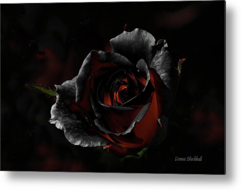 Rose Metal Print featuring the photograph Evil Thoughts by Donna Blackhall