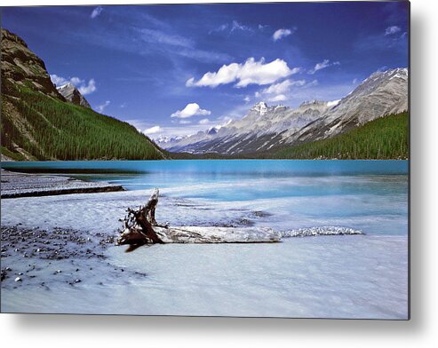 Landscapes Metal Print featuring the photograph Exterior Decorations by The Walkers