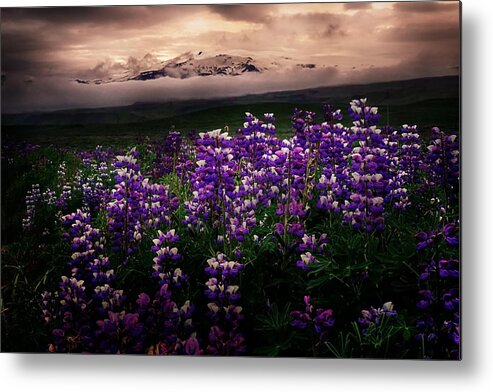 Eyjafjallajökull Metal Print featuring the photograph Eyjafjallajokull by Amanda Jones