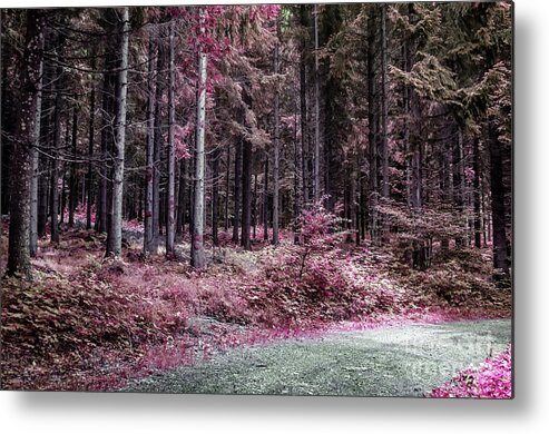 Michelle Meenawong Metal Print featuring the photograph Fairy Early Morning In The Forest by Michelle Meenawong