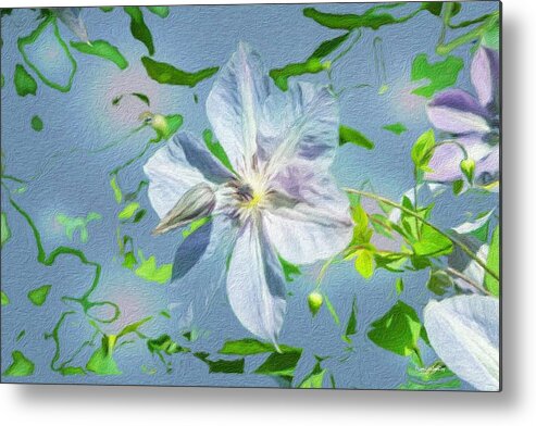 Clematis Metal Print featuring the photograph Fairy Kissed Bloom n Bud by Diane Lindon Coy