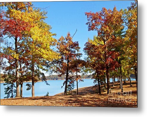 Lake Lanier Metal Print featuring the photograph Fall at the Lake by Southern Photo
