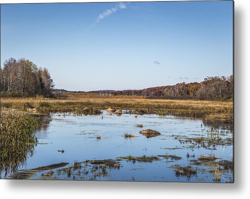 Mill Pond Metal Print featuring the photograph Fall At The Mill Pond by Thomas Young