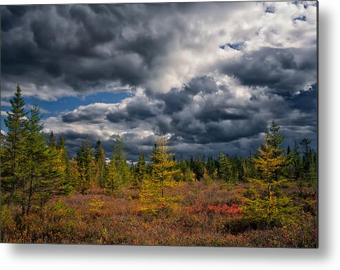 Tompkin Plains Metal Print featuring the photograph Fall Barrens At Tompkin Plains by Irwin Barrett