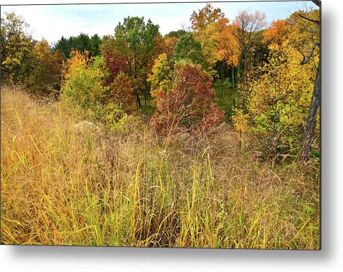 Mchenry County Metal Print featuring the photograph Fall Color Comes to Bull Valley by Ray Mathis