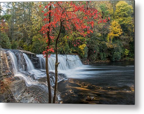 Wnc Metal Print featuring the photograph Fall Color In Dupont State Forest North Carolina by Willie Harper