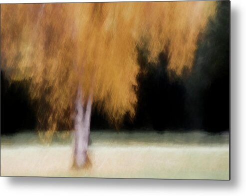 Tree Metal Print featuring the photograph Fall Color with Painterly Effect by Carol Leigh