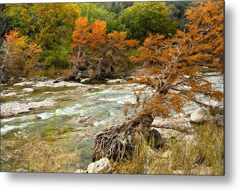 Daytime Metal Print featuring the photograph Fall colors along the Pedernales River by Mark Weaver