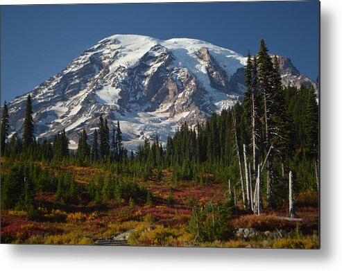 Fall Metal Print featuring the photograph Fall Colors at Mt. Rainier by Michael Merry