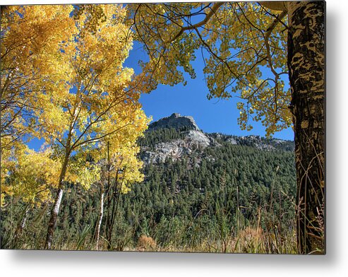Fall Colors Metal Print featuring the photograph Fall Colors Frame Bighorn Mountain by Tony Hake