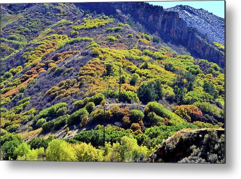 Colorado Metal Print featuring the photograph Fall Colors in the Hills of Glenwood Springs by Ray Mathis