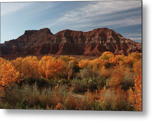 Fall Foliage Zion Nat. Park Landscape Metal Print featuring the photograph Fall Colors Near Zion by Barbara Smith-Baker